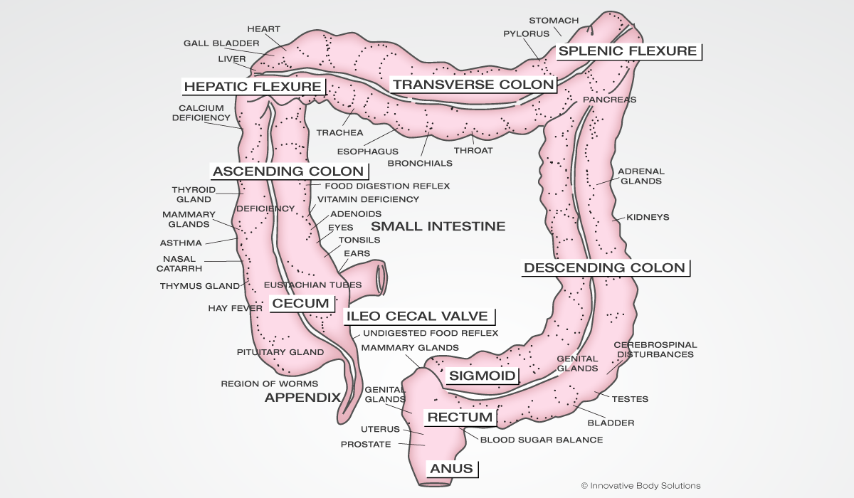 the trigger points of the colon